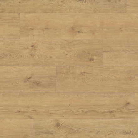 Ламинат Haro Tritty 100 Campus 4V «Дуб Портлэнд Пуро», 544751