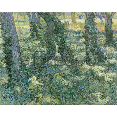 Фреска Affresco, Vincent van Gogh Undergrowth