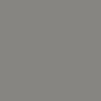 Краска Lanors Mons, цвет «Серо-алюминиевый» RAL 9007