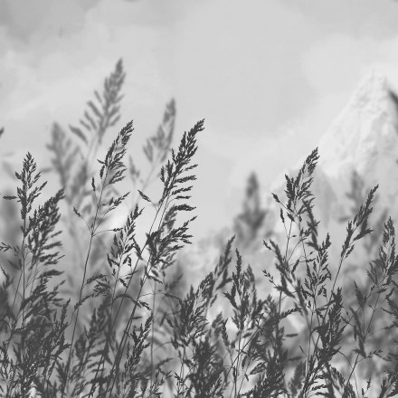 Фреска Ortograf, 34993