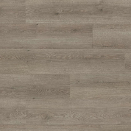 Ламинат Haro Tritty 100 Campus 4V «Дуб Флавия Серый», 544754