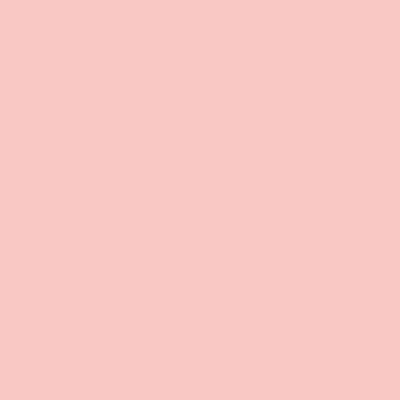 Краска Lanors Mons, цвет NCS S 0520-R
