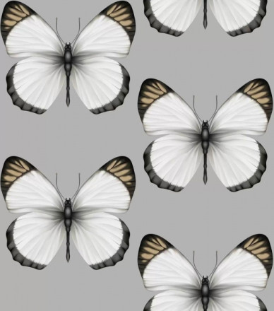 Обои Andrea Rossi Cheradi, 54401-6