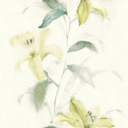 Обои Wallquest Jasmine, JA31604