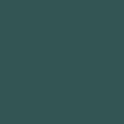 Краска Lanors Mons, цвет «Сине-зеленый» RAL 6004