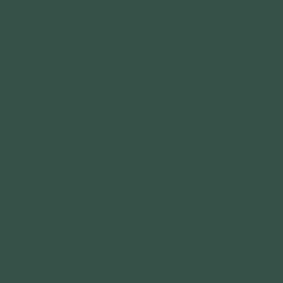 Краска Lanors Mons, цвет «Зеленый мох» RAL 6005