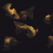 Фреска Applico Three «Рыбки», VR.0044-G1