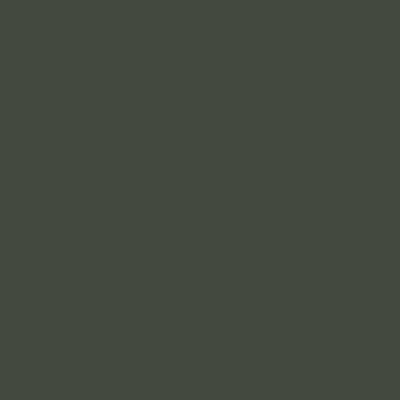 Краска Lanors Mons, цвет «Бутылочно-зеленый» RAL 6007