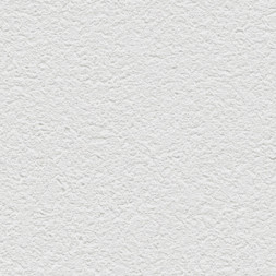 Обои Alessandro Allori Barbara, R65438-17