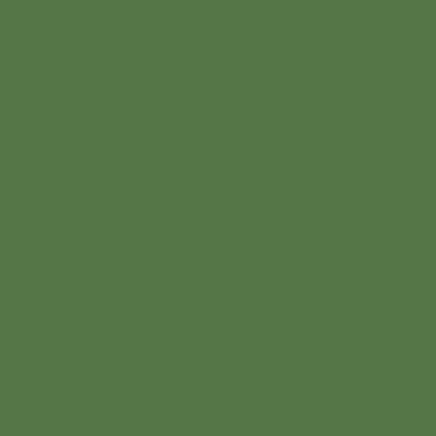 Краска Lanors Mons, цвет «Травяной зеленый» RAL 6010