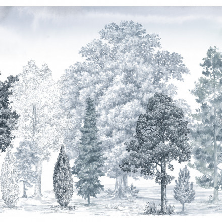 Обои Loymina Пейзаж vol. 2, ART 14 006