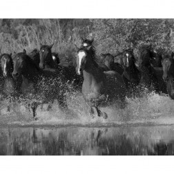 Обои Aura Global Fusion, G45278