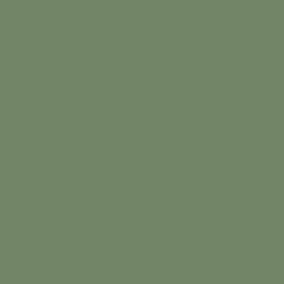 Краска Lanors Mons, цвет «Резедово-зеленый» RAL 6011