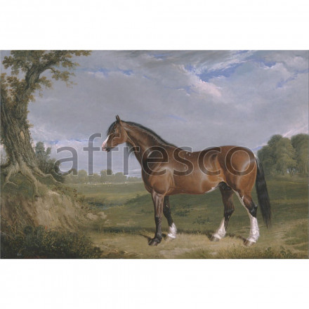 Фреска Affresco, John Frederick Herring A Clydesdale Stallion