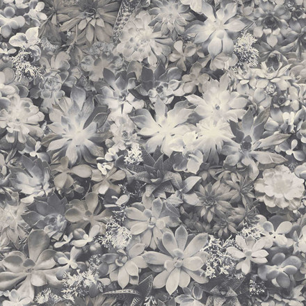 Обои Aura Evergreen, 7321 A