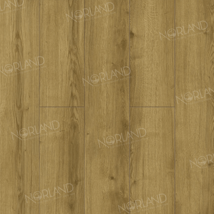 Ламинат Alpine Floor Elegant Strong «Дуб Фанэн», LF302-17