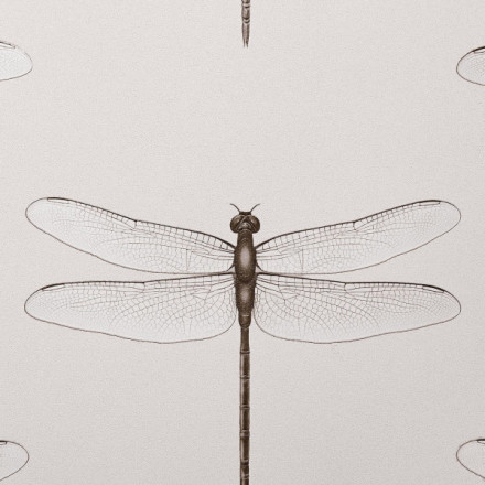 Обои Andrea Rossi Cavolli, 54426-2