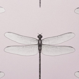 Обои Andrea Rossi Cavolli, 54426-3