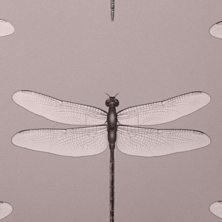 Обои Andrea Rossi Cavolli, 54426-4