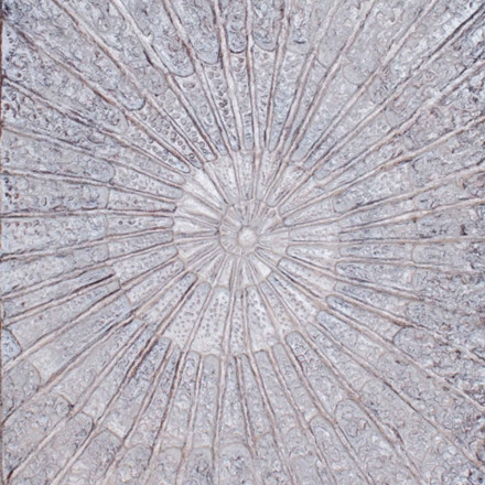 Декоративная штукатурка VenDeco «Creta»