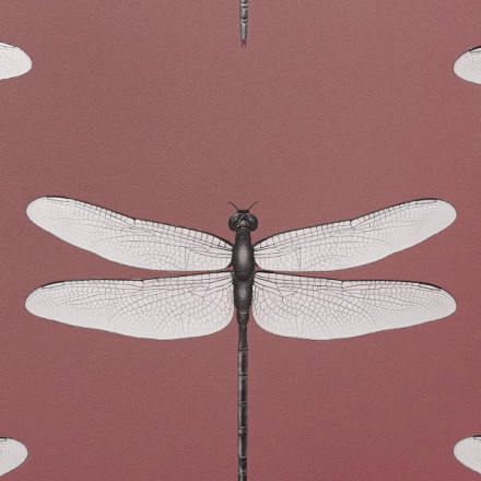 Обои Andrea Rossi Cavolli, 54426-5