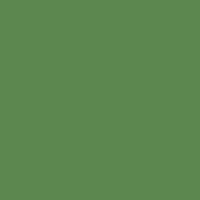 Краска Lanors Mons, цвет «Майский зеленый» RAL 6017
