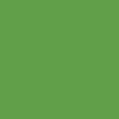 Краска Lanors Mons, цвет «Желто-зеленый» RAL 6018