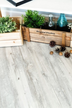 SPC Ламинат Alpine Floor Classic «Акация», ЕСО 107-8 MC