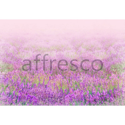 Фреска Affresco, 9716
