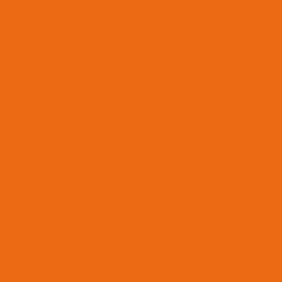 Краска Lanors Mons, цвет NCS S 1080-Y50R