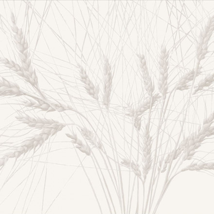 Фреска Fresq Classic, COLOSS