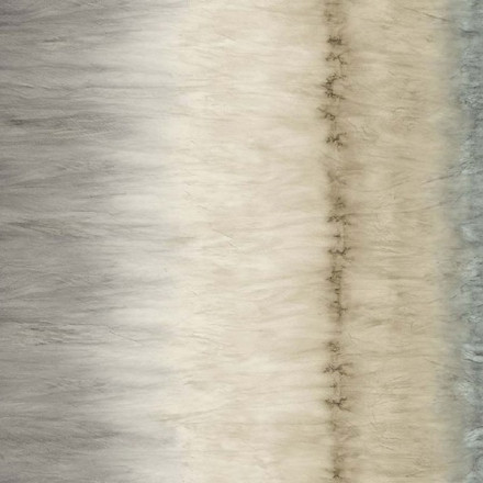 Обои Carl Robinson Edition 12, 41000 CR