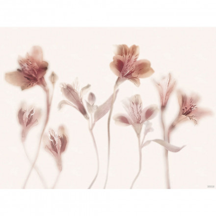 Фреска Ortograf, 35016