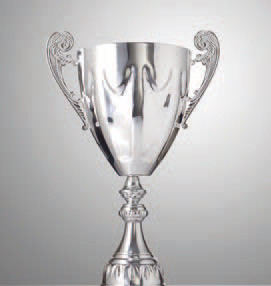 TIXE «Gold Chrome Paint» краска-поталь 