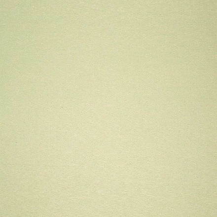 Обои Calcutta Botanic, 113017