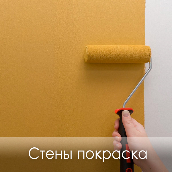 фото покраска стен краской Mons